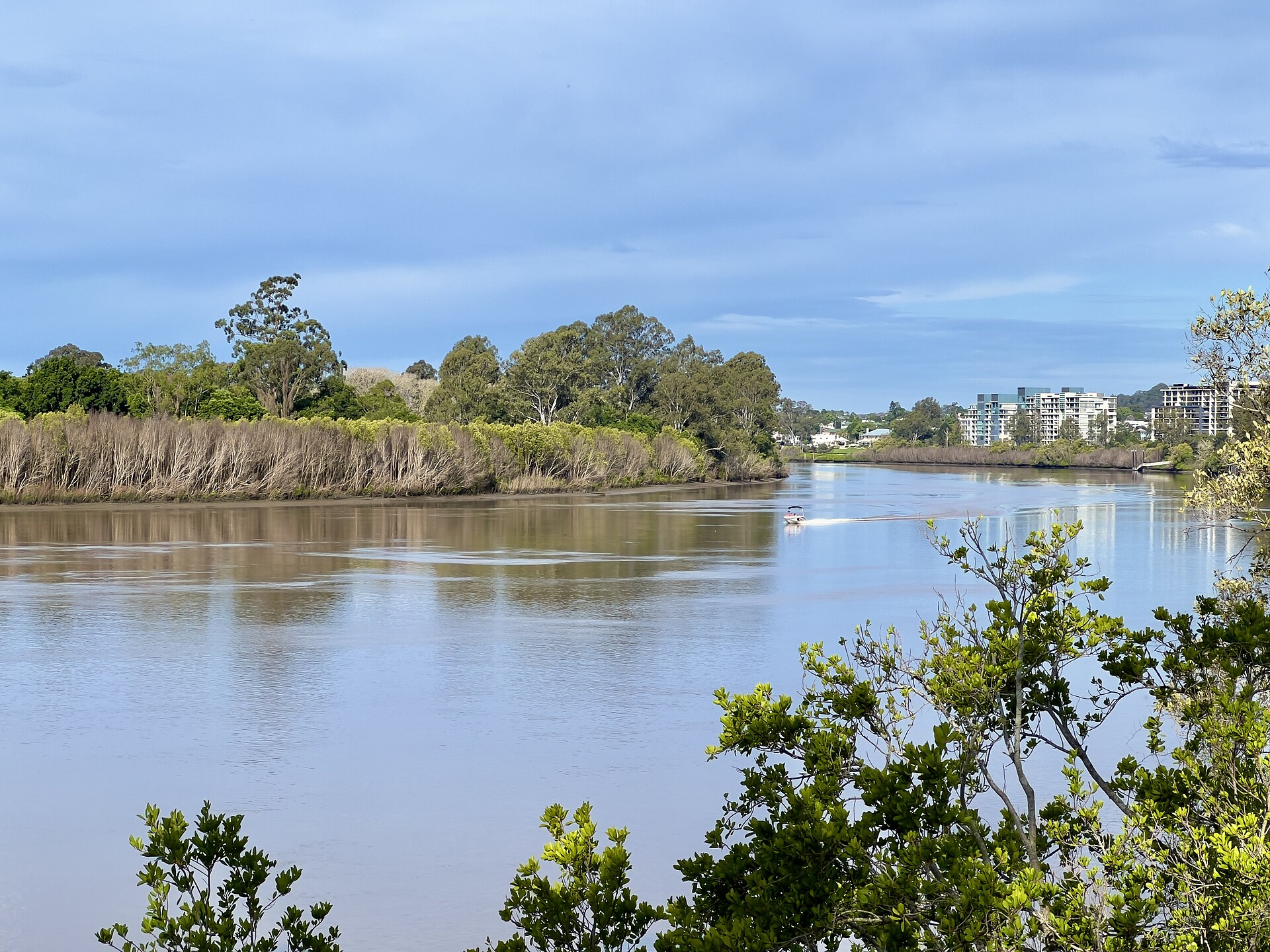 Indooroopilly